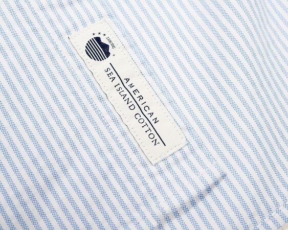 WORKERS(ワーカーズ)～Modified IVY BD, American Sea Island Cotton OX Stripe～